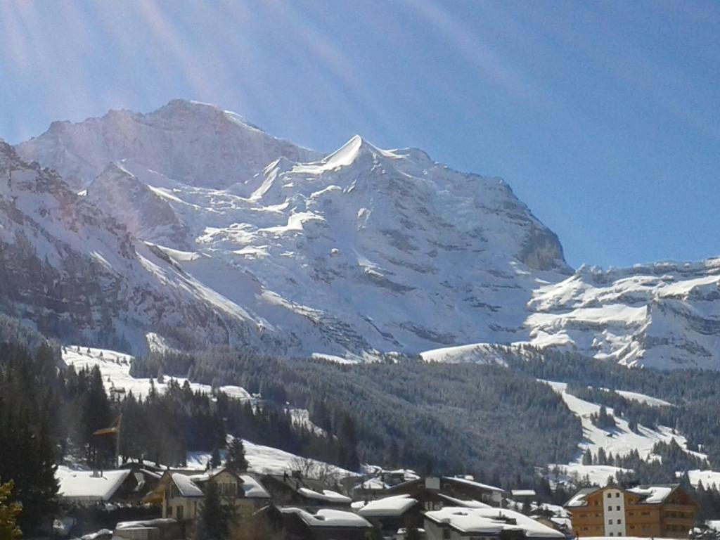 Hotel Berghaus Wengen Exterior foto